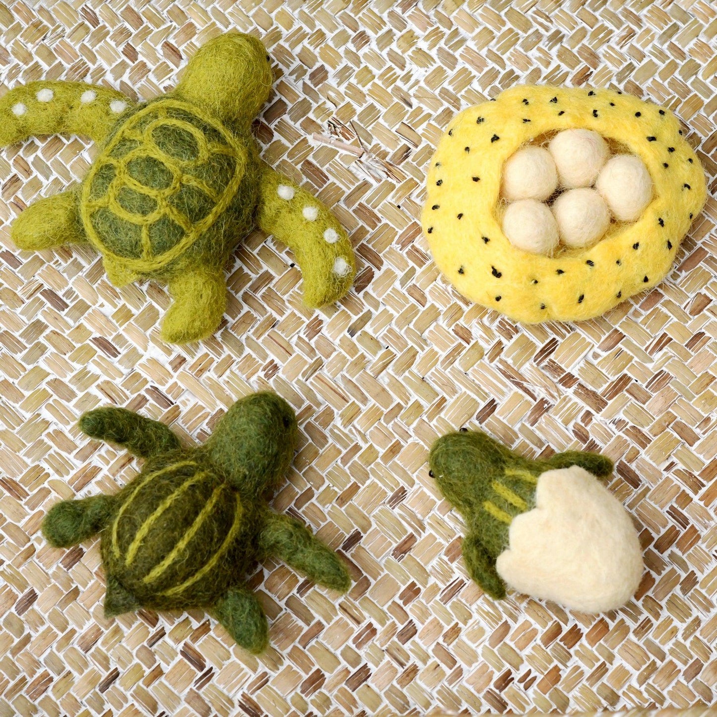 Life Cycle of Green Sea Turtle Stuffed Toy