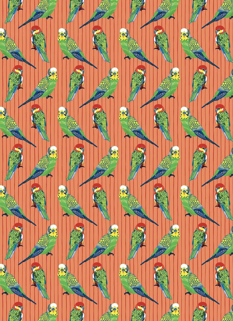 All Wrapped Up: Birds & Bugs by Bronwyn Bancroft (A Wrapping Paper Book)