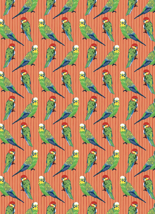 All Wrapped Up: Birds & Bugs by Bronwyn Bancroft (A Wrapping Paper Book)