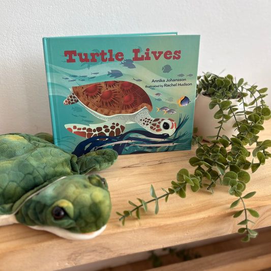 Turtle Lives by Annika Johansson (Hard Back)