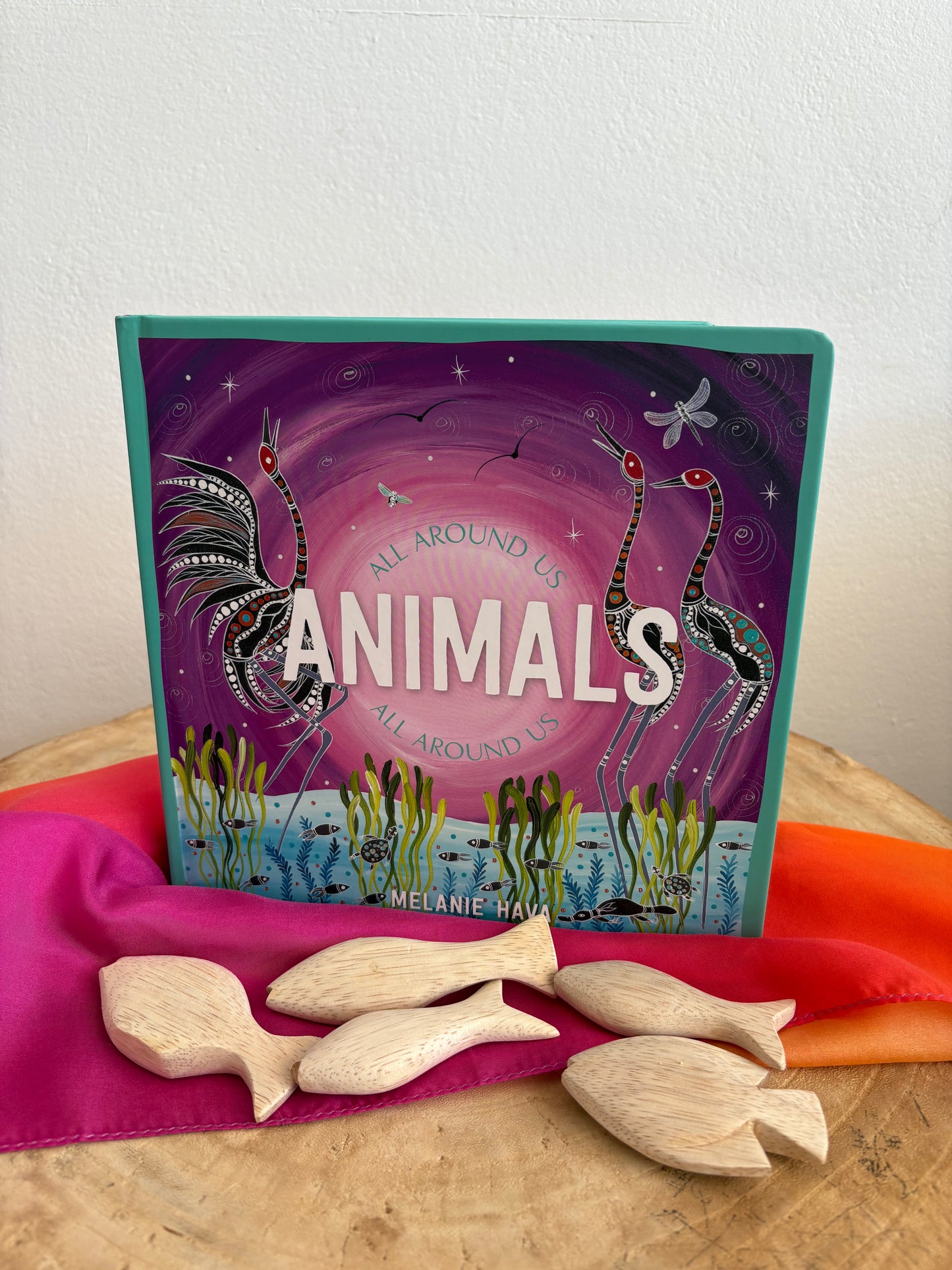 Animals All Around Us by Melanie Hava (Board Book)