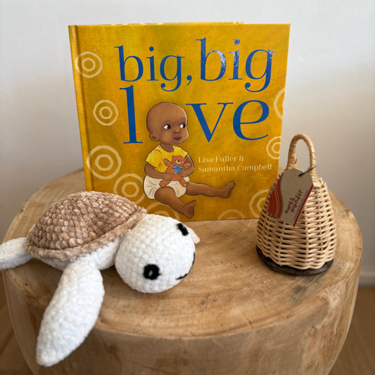 Big, Big Love by Lisa Fuller (Hard Back)