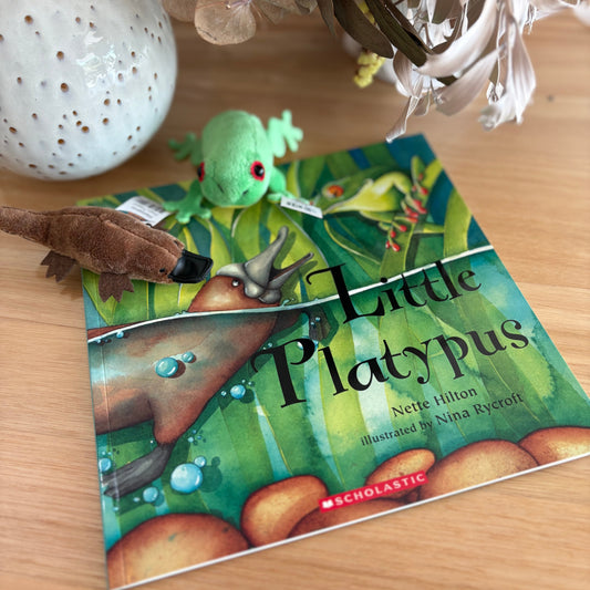 Little Platypus by Nette Hilton (Paper Back)