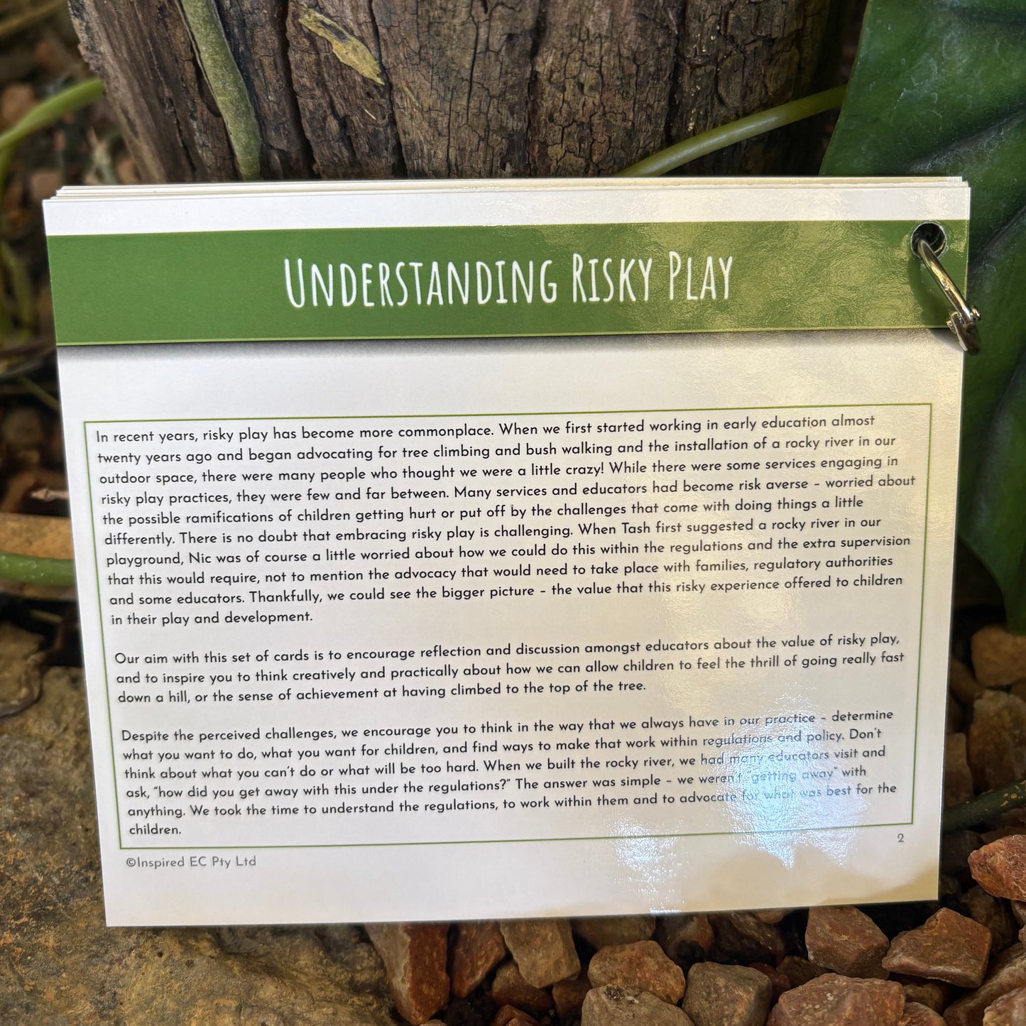 Understanding and Embracing Risky Play: Inspiration and Discussion Cards