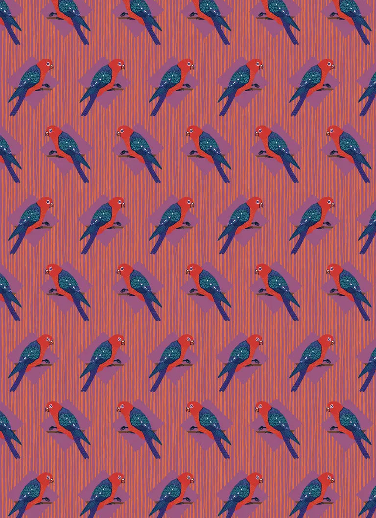 All Wrapped Up: Birds & Bugs by Bronwyn Bancroft (A Wrapping Paper Book)