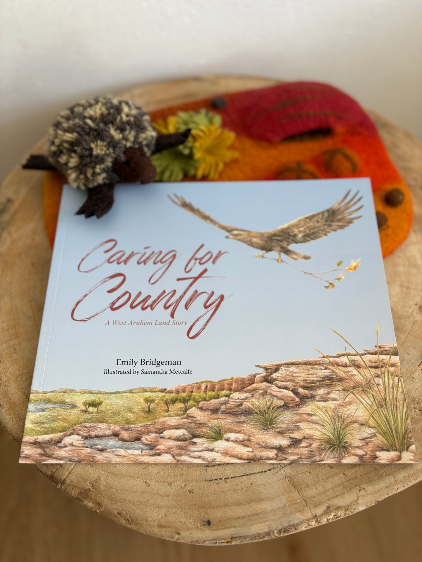 Caring For Country by Emily Bridgeman (Paper Back)