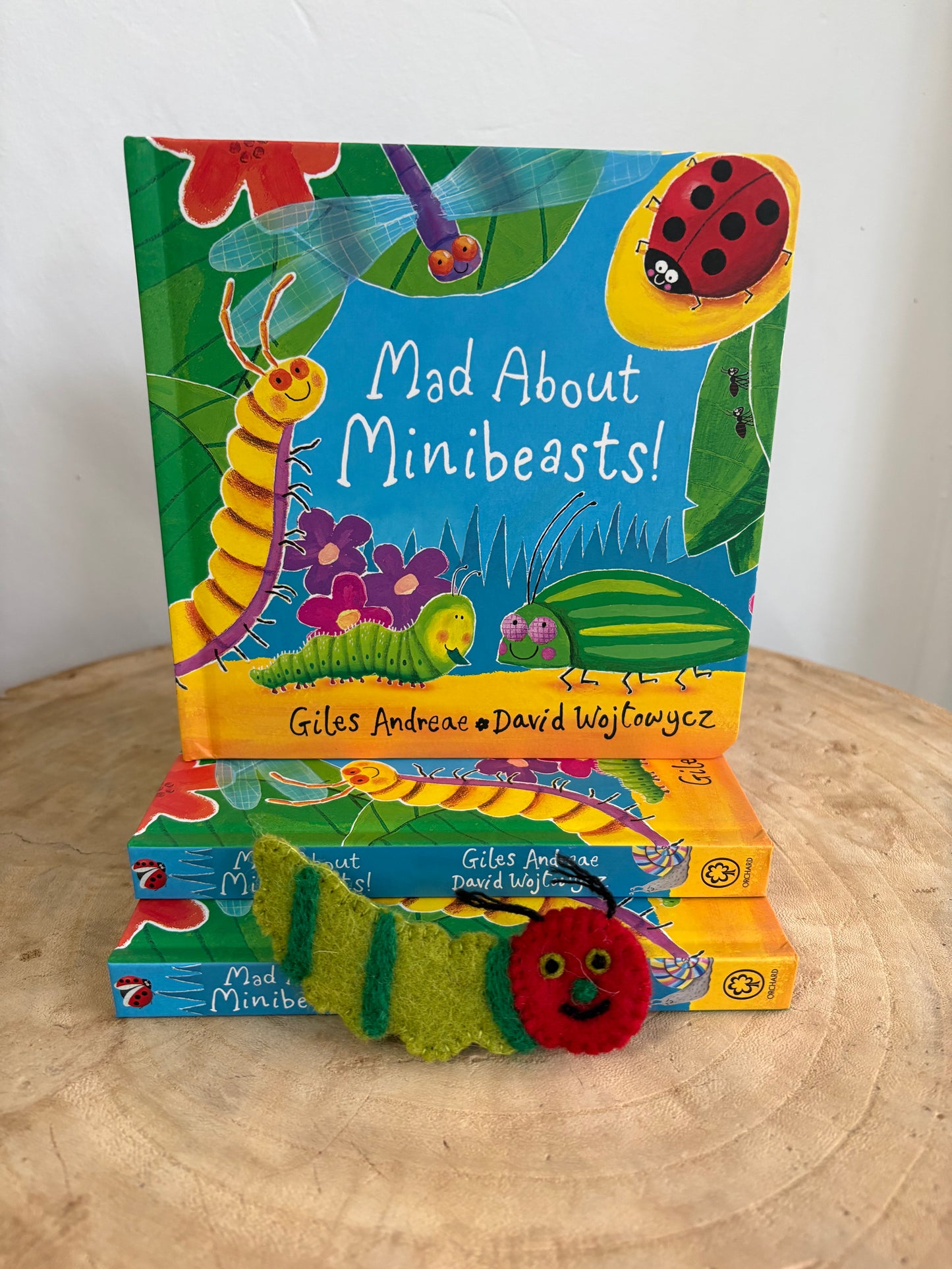 Mad About Minibeasts by Giles Andreae (Board Book)