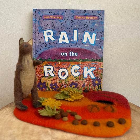 Rain On The Rock by Jodi Toering (Hard Back)