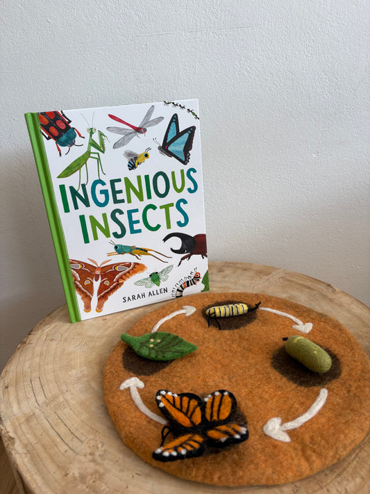 Ingenious Insects by Sarah Allen (Hard Back)