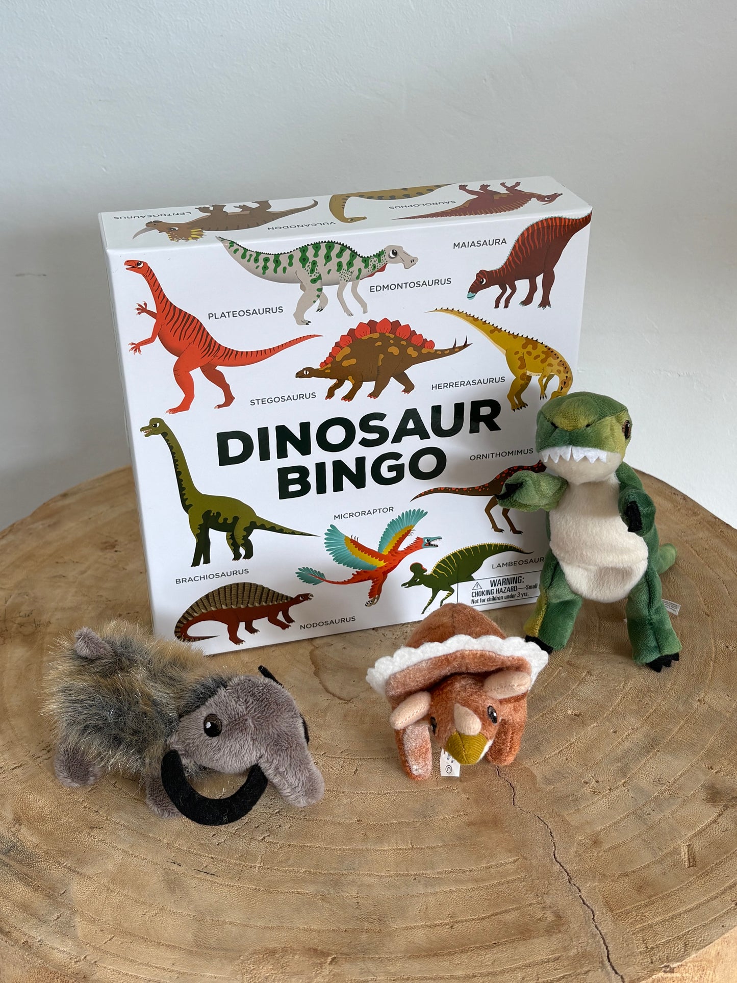 Dinosaur Bingo by Caroline Selmes