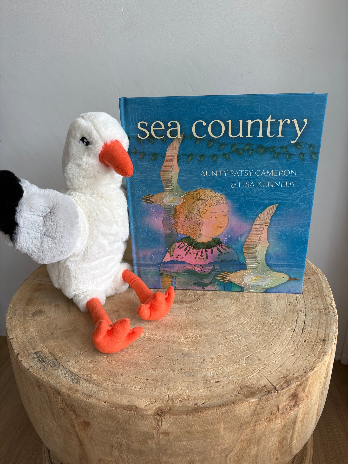 Sea Country by Aunty Patsy Cameron & Lisa Kennedy (Hard Back)