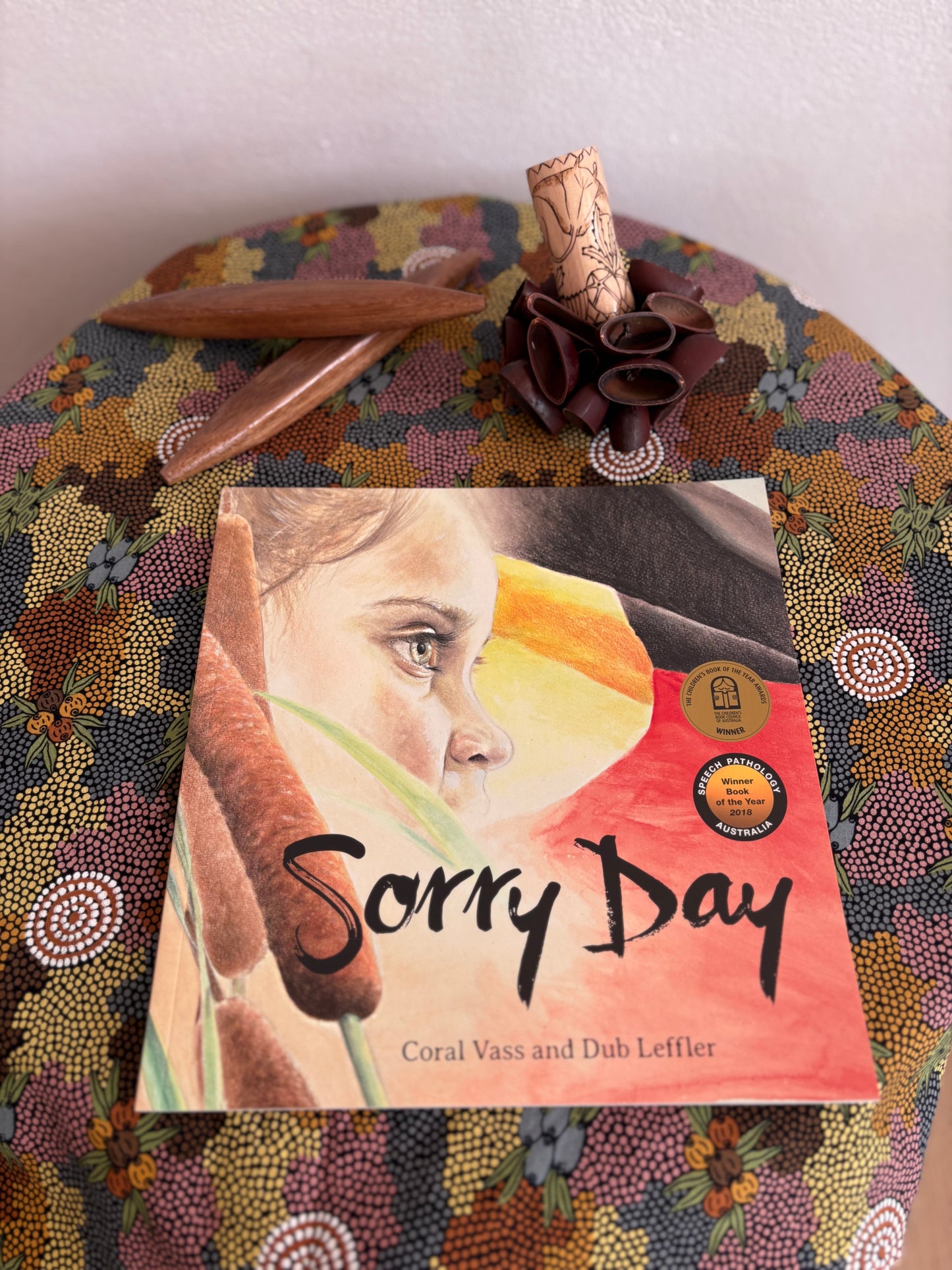 Sorry Day by Coral Vass (Paper Back)