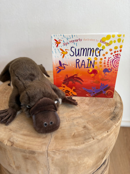 Summer Rain by Ros Moriarty (Paper Back)