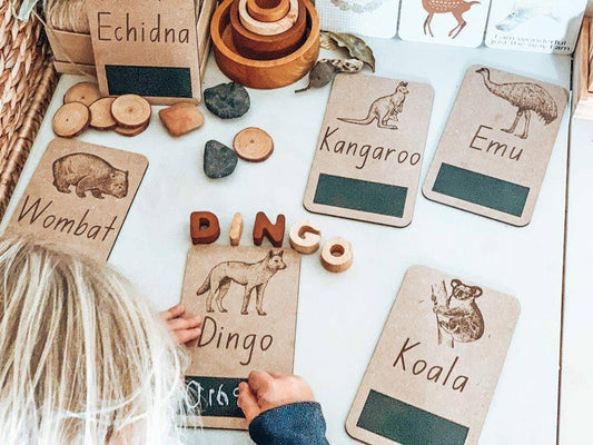 Australian Native Animal Flash Cards