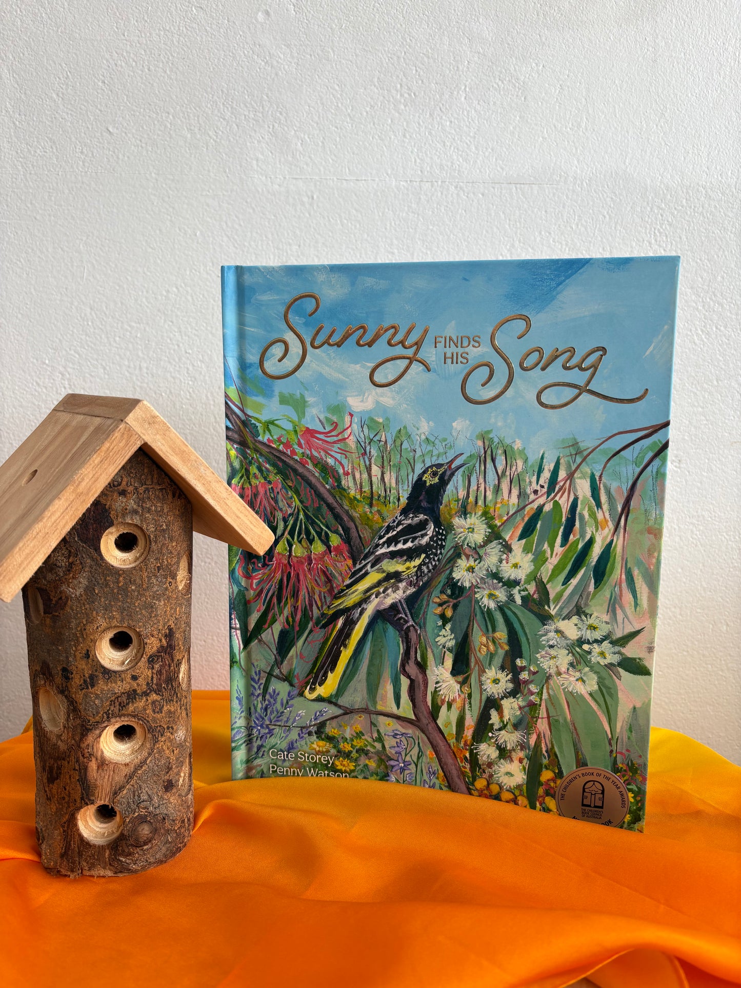 Sunny Finds His Song by Cate Storey & Penny Watson (Hard Back)