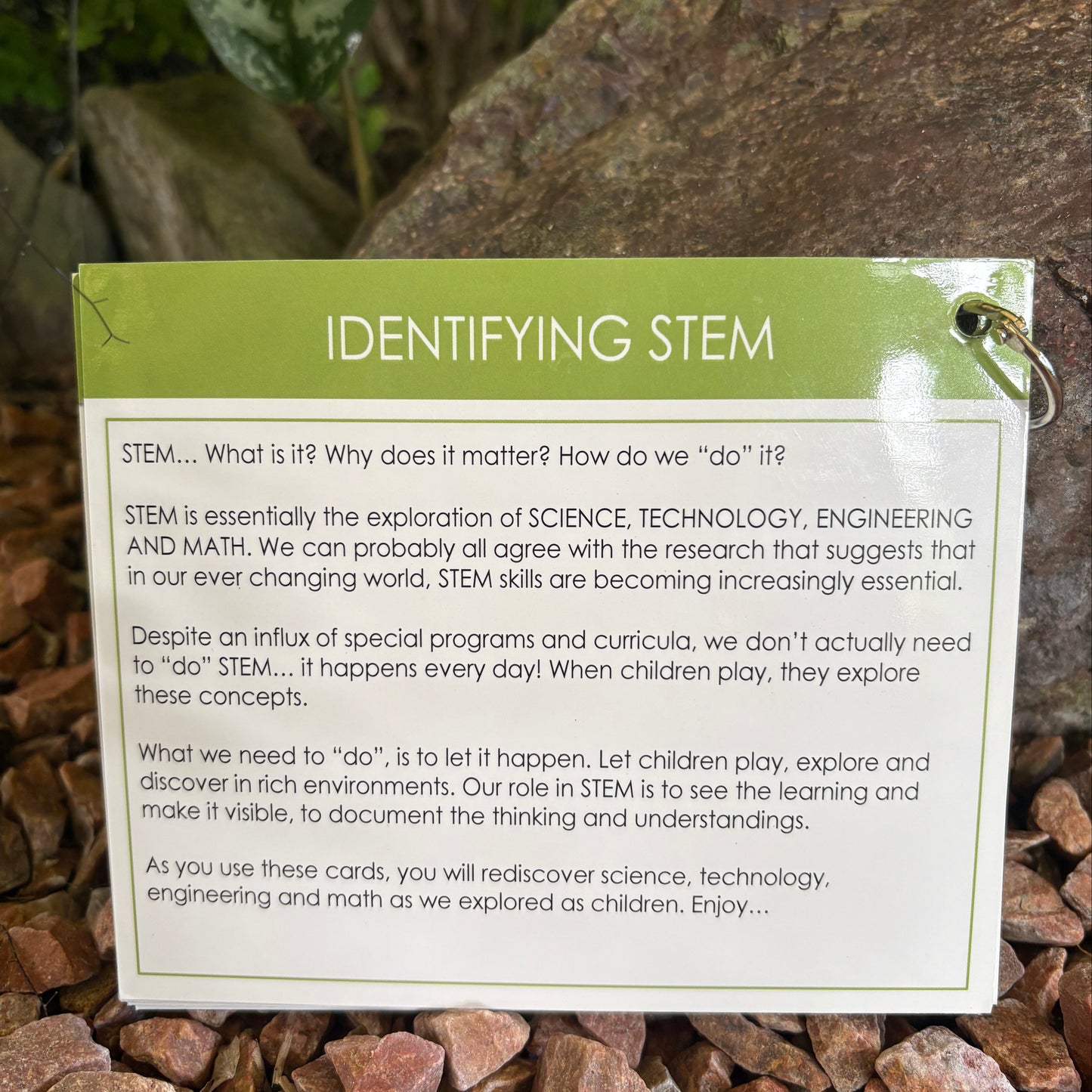 Identifying Stem: Inspiration and Discussion Cards