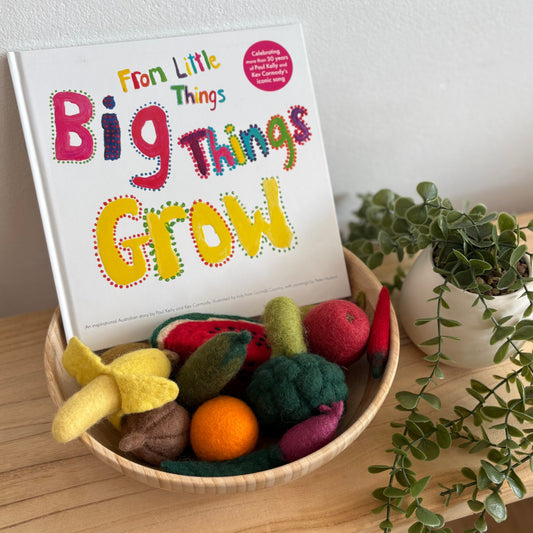 From Little Things Big Things Come by Paul Kelly & Kev Carmody (Hard Back)