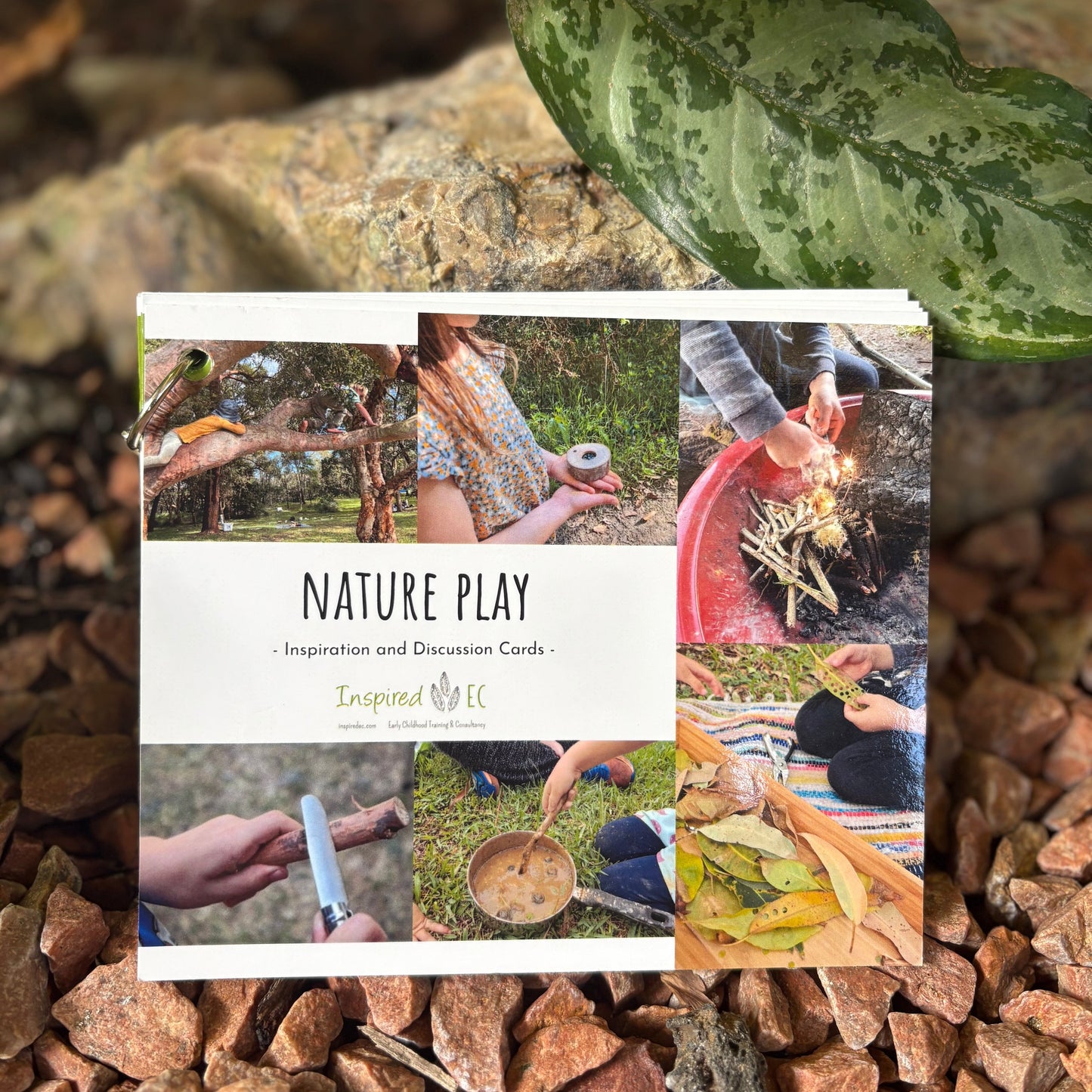 Nature Play: Inspiration and Discussion Cards