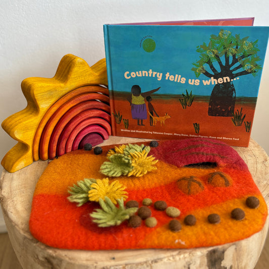 Country Tells Us When by Tsheena Cooper, Mary Dann, Dalisa Pigram-Ross and Sheree Ford (Hard Back)