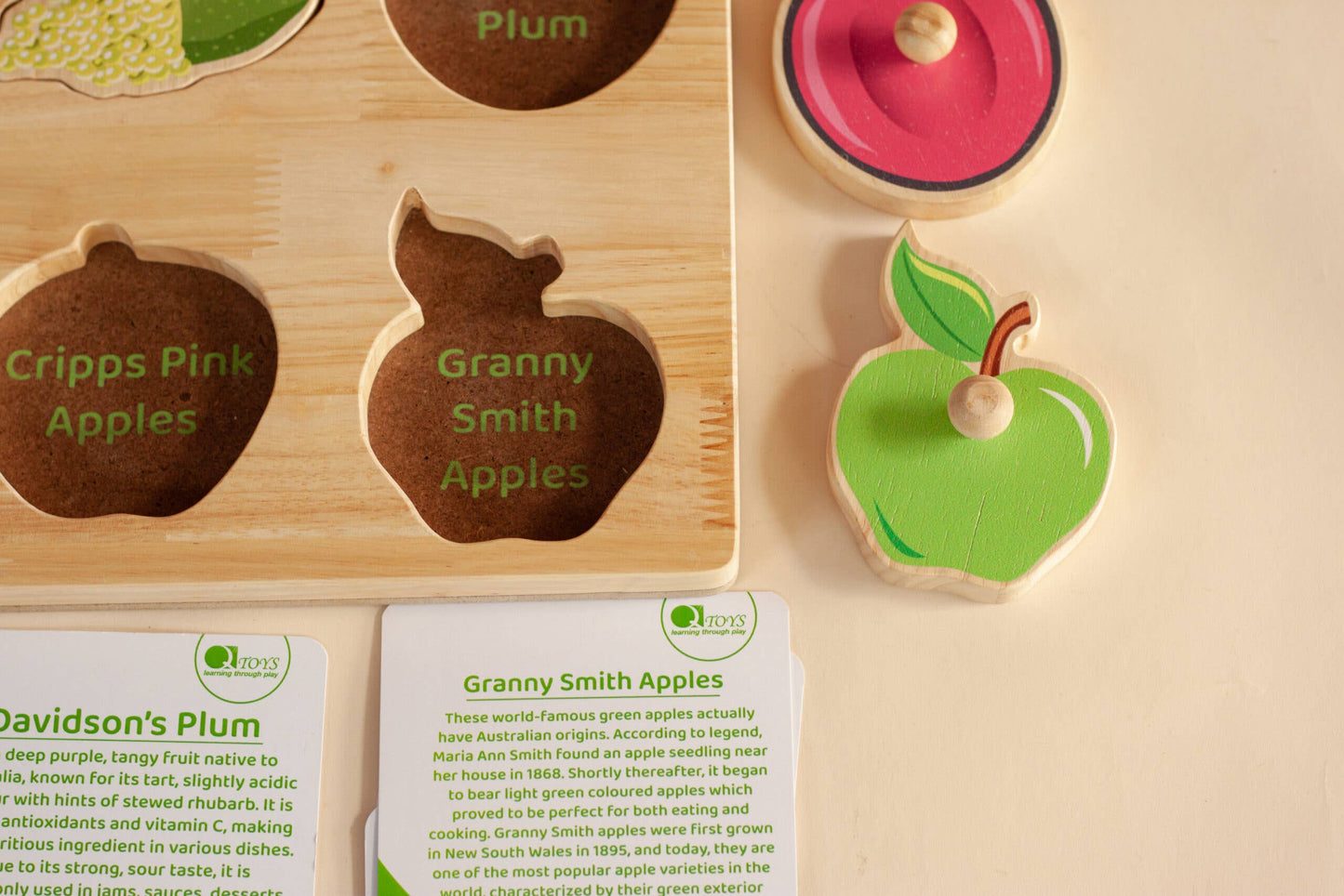 QTOYS Australian Native Fruit Puzzle