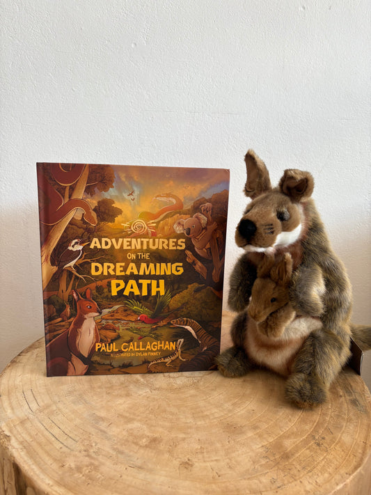 Adventures On The Dreaming Path by Paul Callaghan (Hard Back)