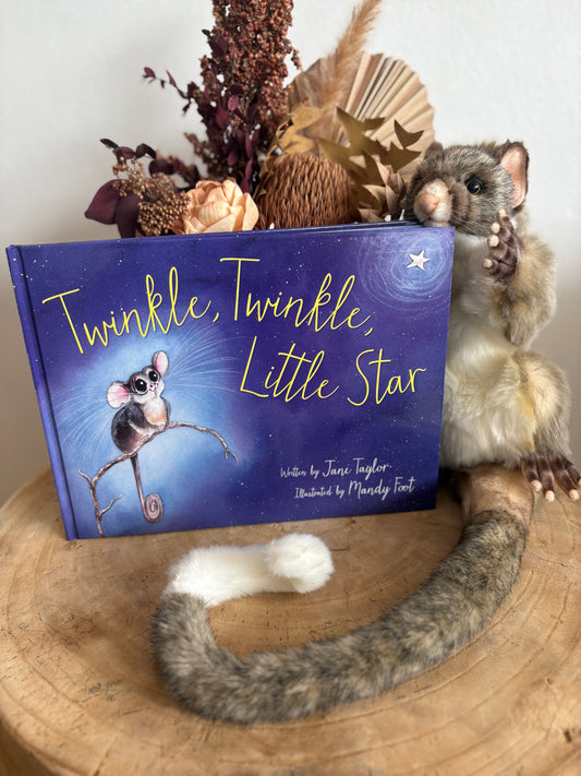 Twinkle, Twinkle, Little Star by Jane Taylor (Hard Back)