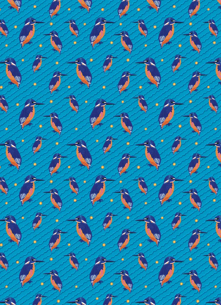 All Wrapped Up: Birds & Bugs by Bronwyn Bancroft (A Wrapping Paper Book)