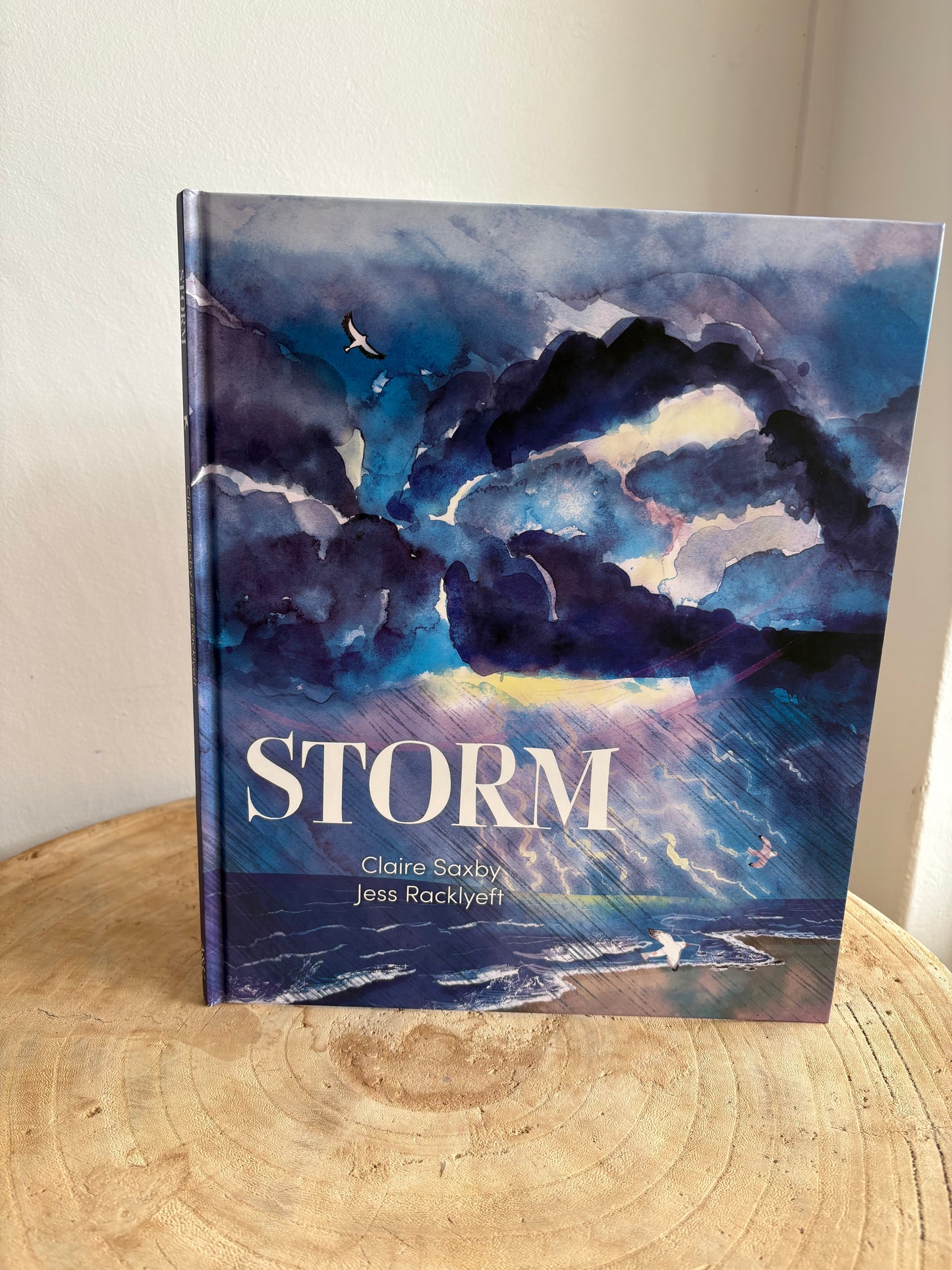 Storm by Claire Saxby & Jess Racklyeft (Hard Back)