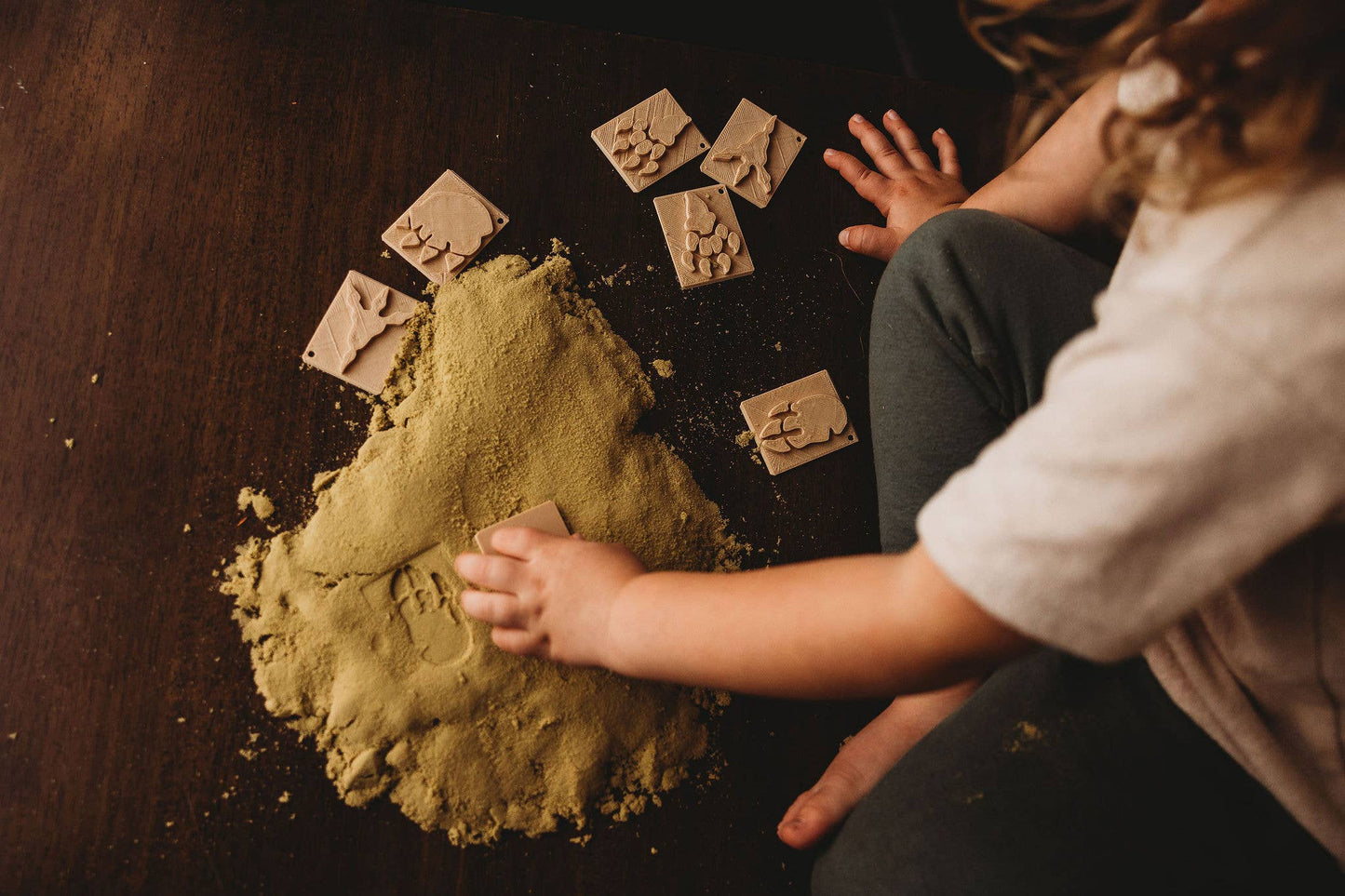 Dinosaur Foot Print Stamp Set - Eco Playdough Tool