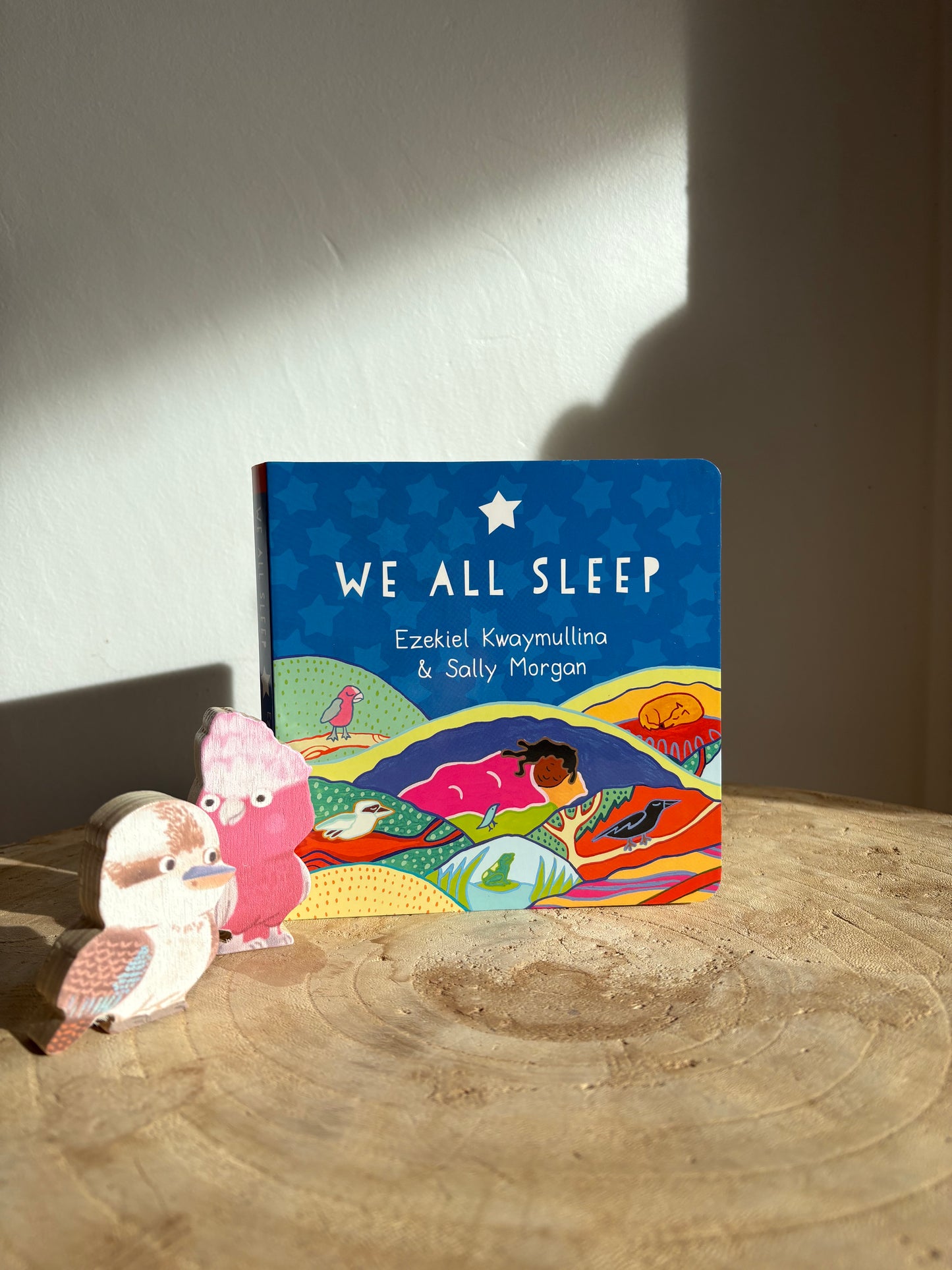 We All Sleep by Ezekiel Kwaymullina & Sally Morgan (Board Back)