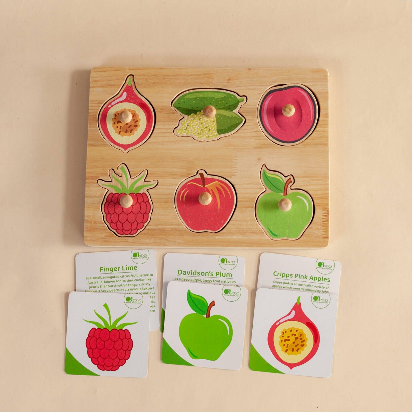 QTOYS Australian Native Fruit Puzzle