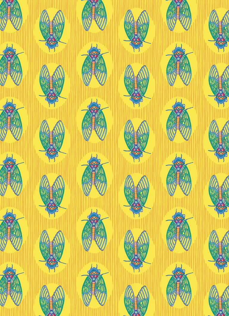All Wrapped Up: Birds & Bugs by Bronwyn Bancroft (A Wrapping Paper Book)