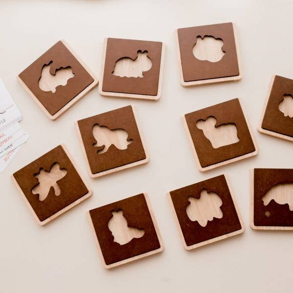 My First Insect Learning Set