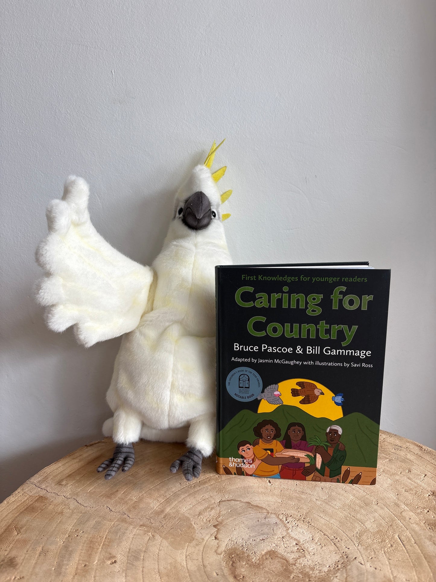 Caring for Country by Bruce Pascoe & Bill Gammage (Paper Back)