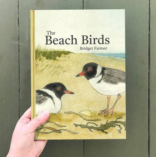 The Beach Birds - Children's Lift The Flap Book by Bridget Farmer (Hard Cover)