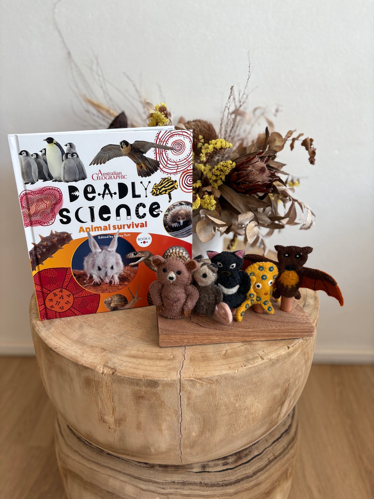 Deadly Science Animal Survival by Corey Tutt (Hard Back)