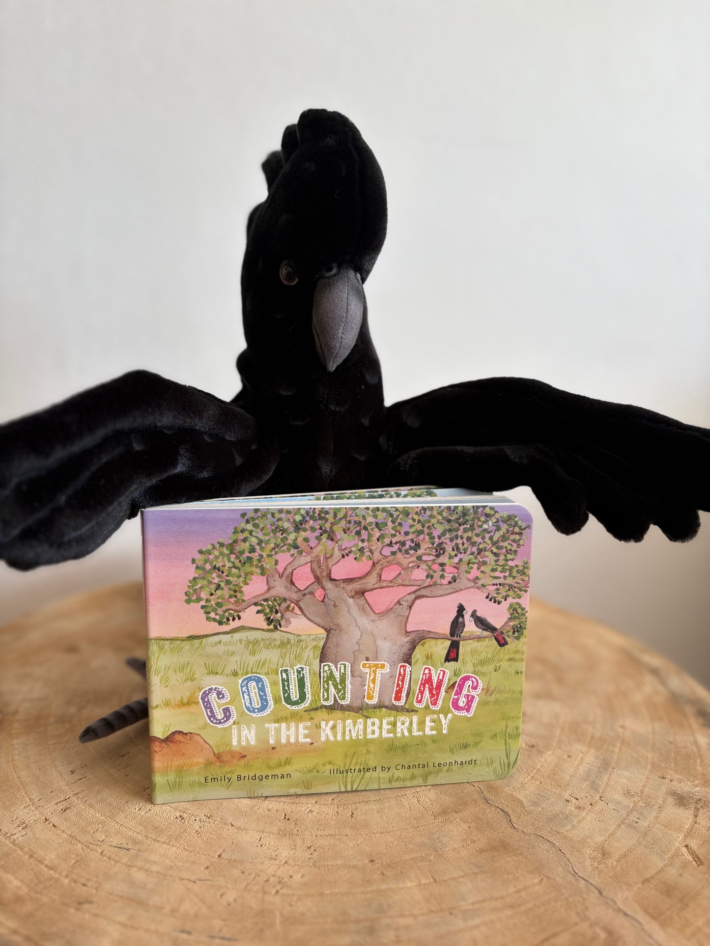 Counting In The Kimberley by Emily Bridgeman (Board Book)
