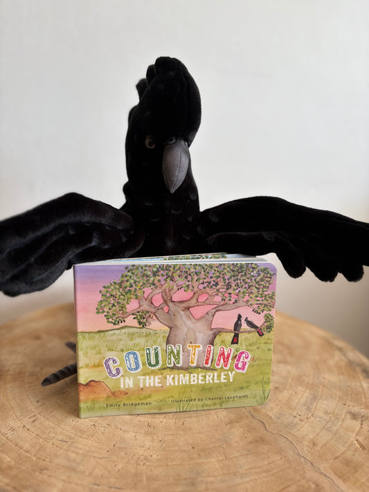 Counting In The Kimberley by Emily Bridgeman (Board Book)
