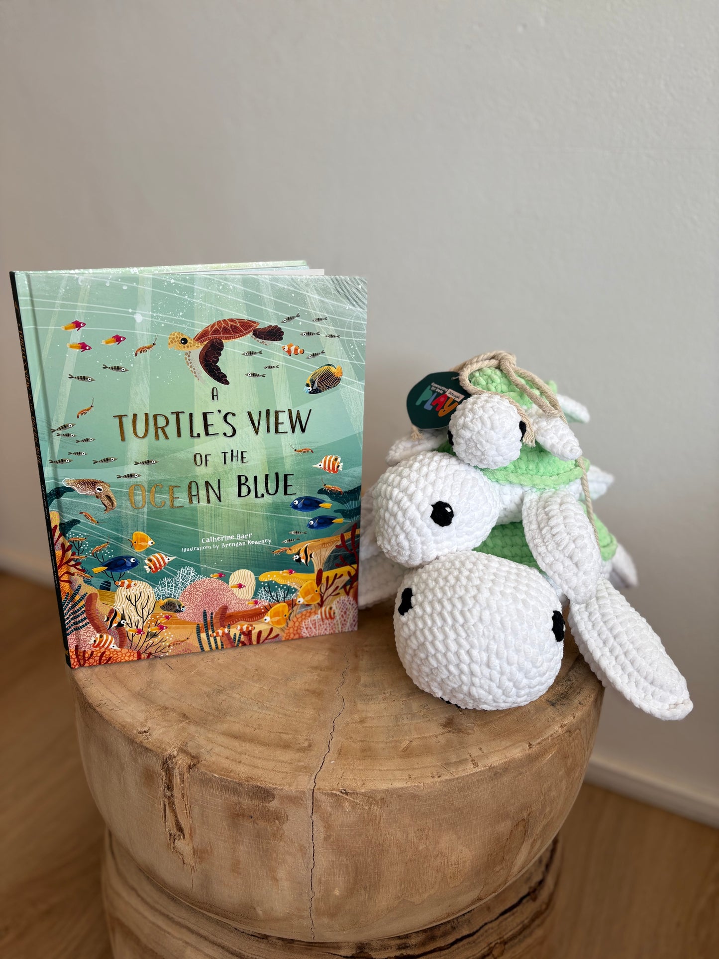 A Turtle's View of the Ocean Blue by Catherine Barr (Hard Back)