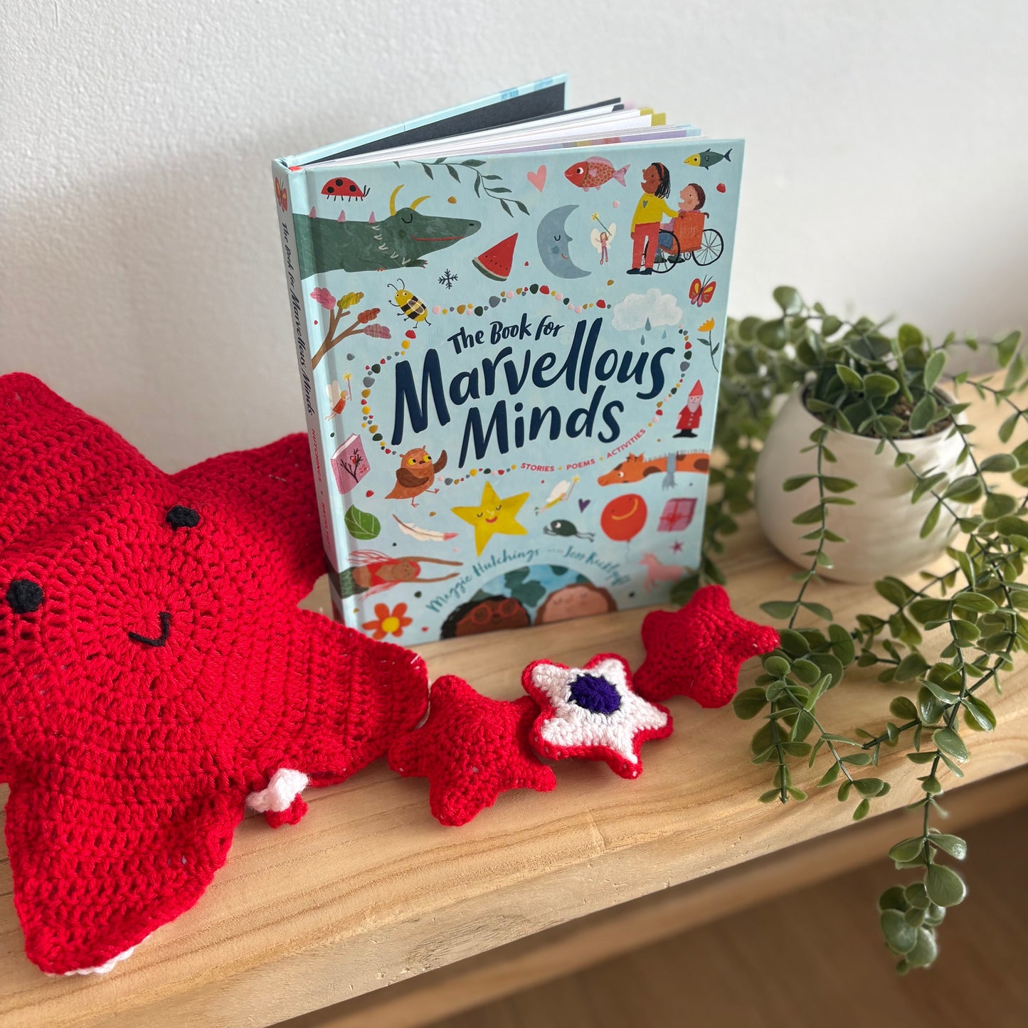 The Book For Marvellous Minds by Maggie Hutchings (Hard Back)