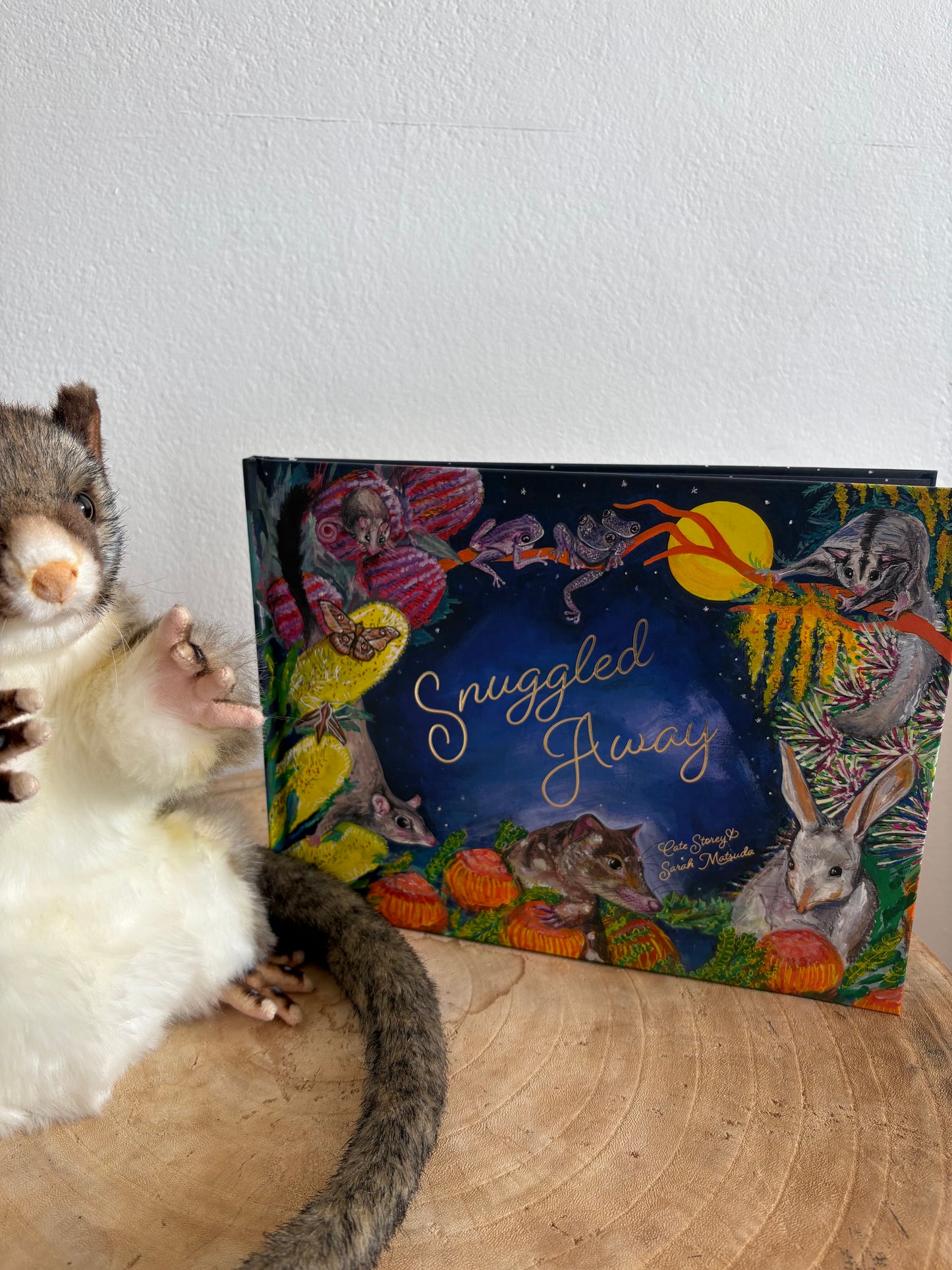 Snuggled Away by Cate Storey (Hard Back)