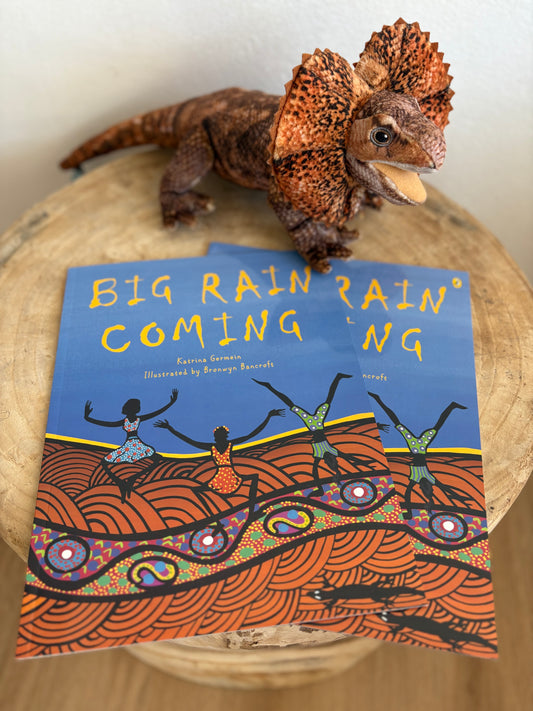 Big Rain Coming By Katrina Germein (Paper Back)