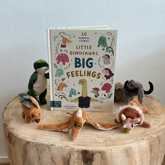Little Dinosaurs Big Feelings by Swapna Haddow (Hard Back)