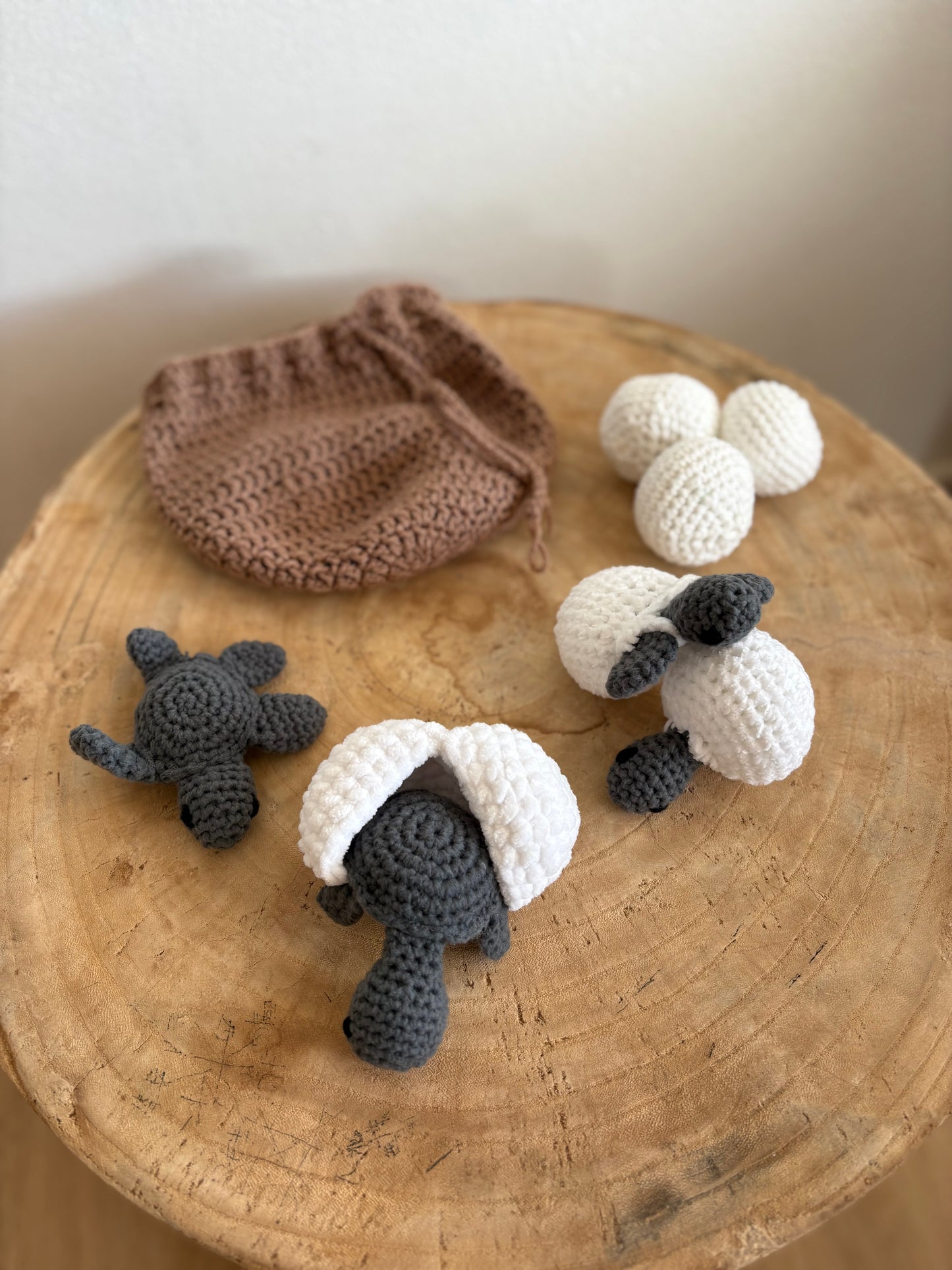 Hand-Crocheted Turtle Life Cycle Set – Interactive Educational Toy