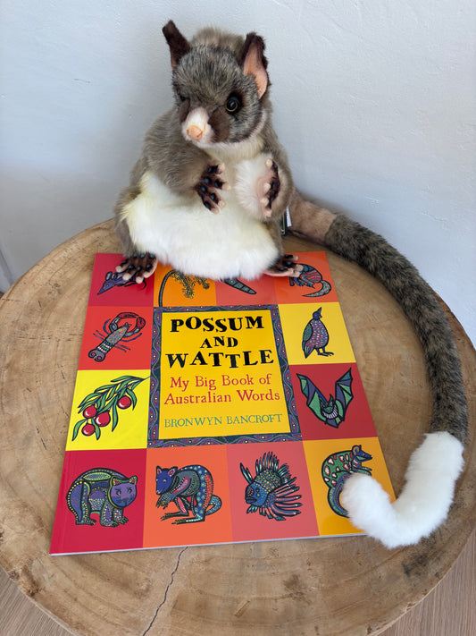 Possum and Wattle: My Big Book of Australian Words by Bronwyn Bancroft (Paper Back)