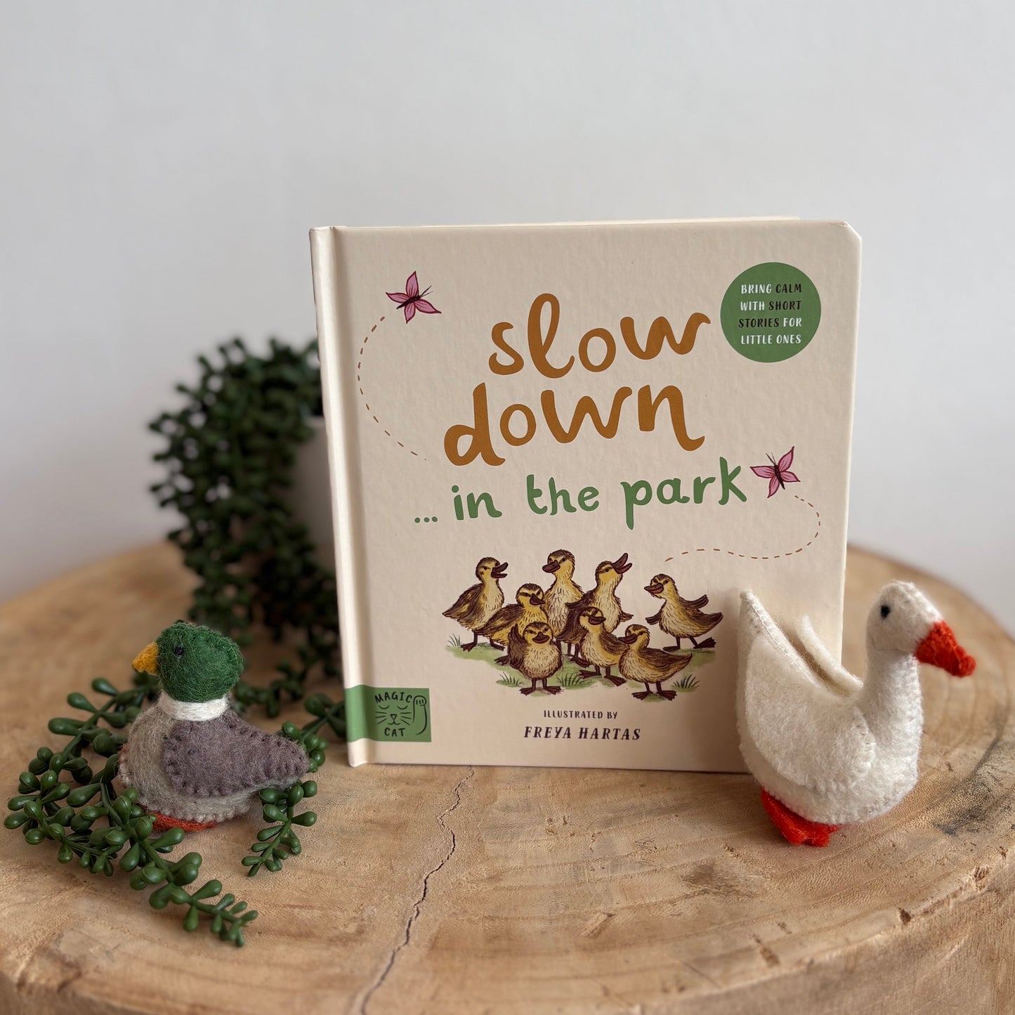 Slow Down ... In The Park by Rachel Williams (Board Book)