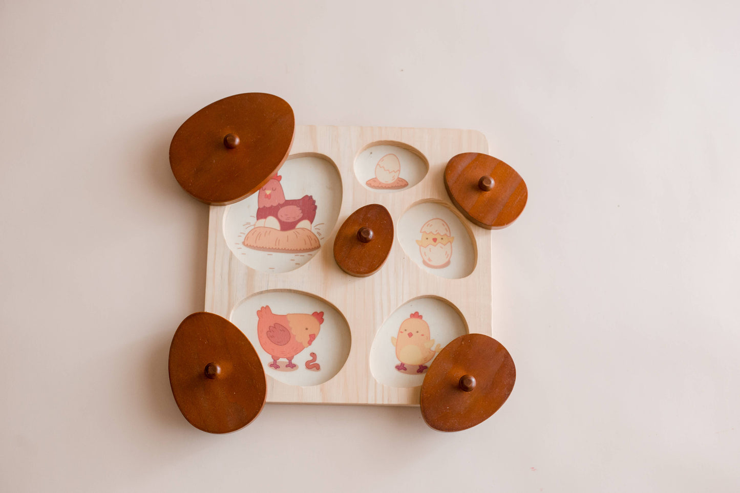 Hen Life Circle Puzzle