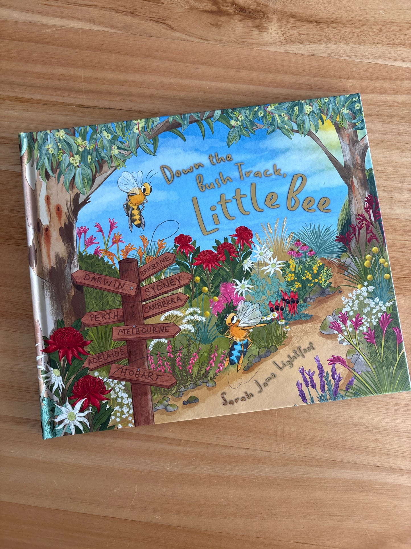 Down The Bush Track, Little Bee - Sarah Jane Lightfoot