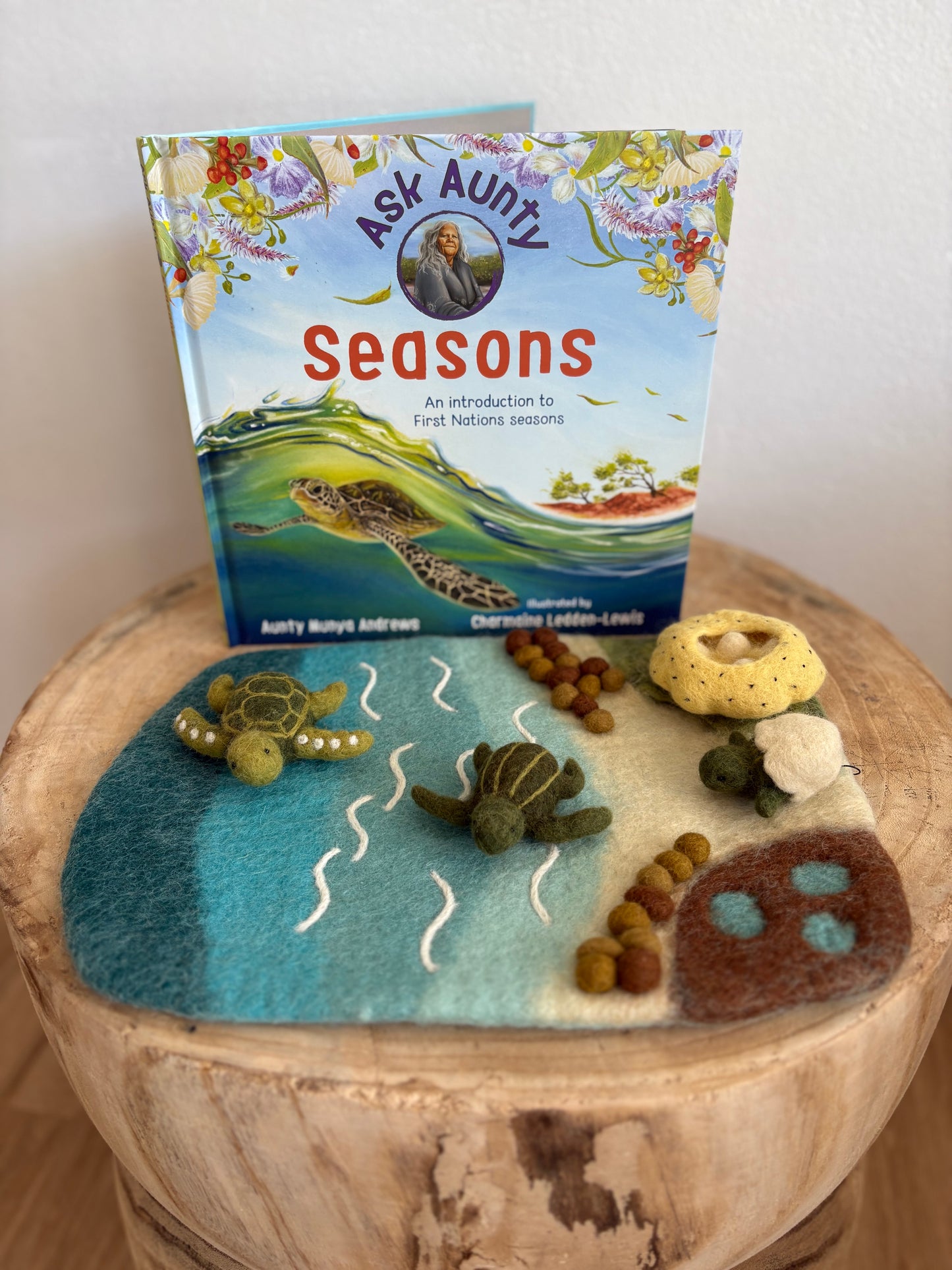 Ask Aunty: Seasons An Introduction To First Nation Seasons by Aunty Munya Andrews (Hard Back)