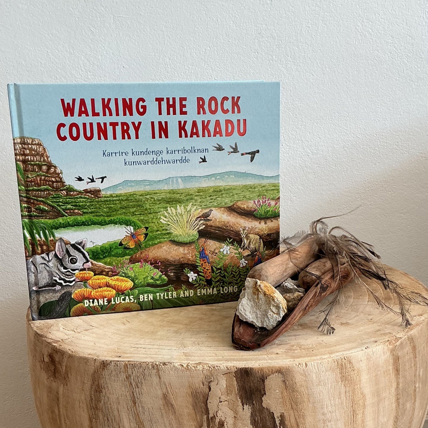 Walking The Rock Country in Kakadu by Diane Lucas & Ben Tyler (Hard Back)